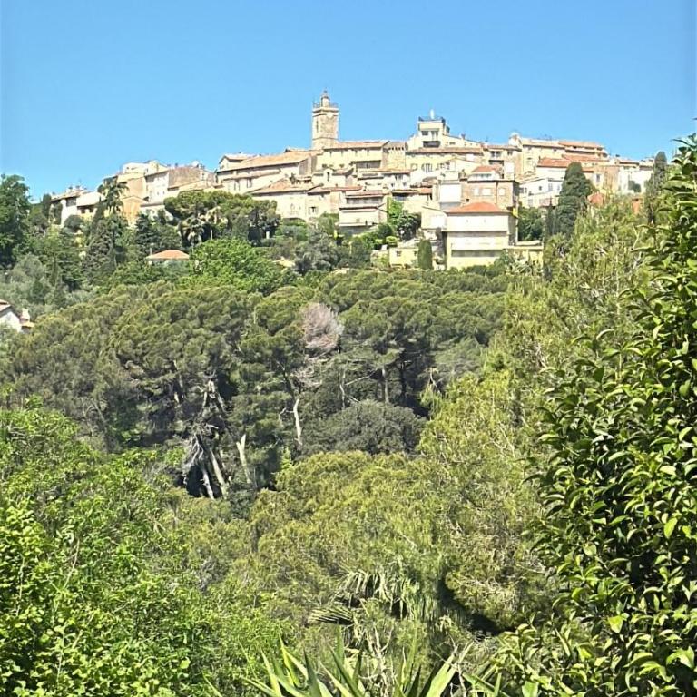 Villa de luxe à Mougins - Villa avec Piscine Privée - 93