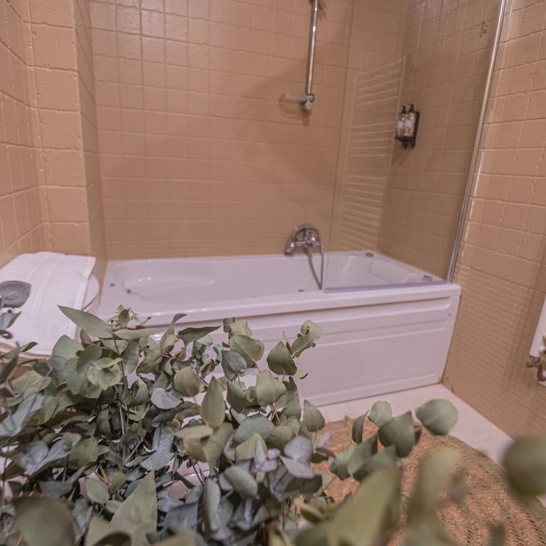 10Pax Terraza minipiscina-jacuzzi Parking free - Villa - 35