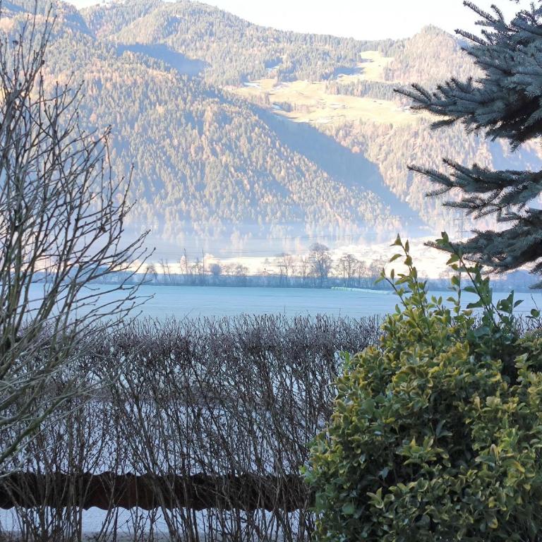 Zillertal Alpenblick - Appartamento con 1 Camera da Letto con Bagno - 5