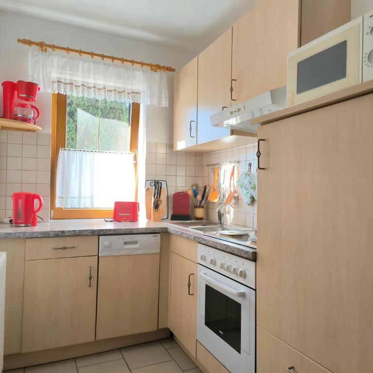 Zillertal Alpenblick - Appartamento con 1 Camera da Letto con Bagno - 22