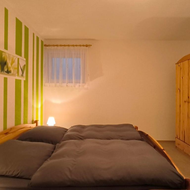 Zillertal Alpenblick - Appartamento con 1 Camera da Letto con Bagno - 20