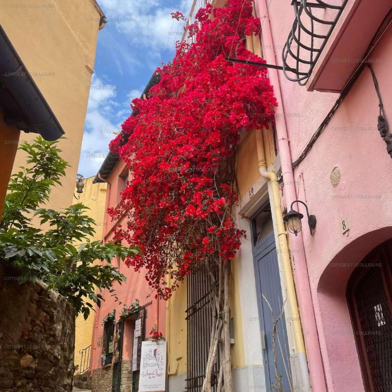 4DES2 Grand T3 pour 4 personnes dans immeuble ancien proche plage Collioure - Two-Bedroom Apartment - 12