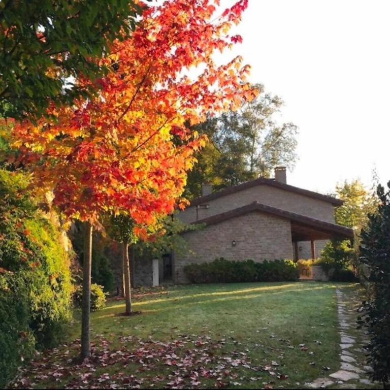 Casa Carle Andrín - Four-Bedroom House - 36