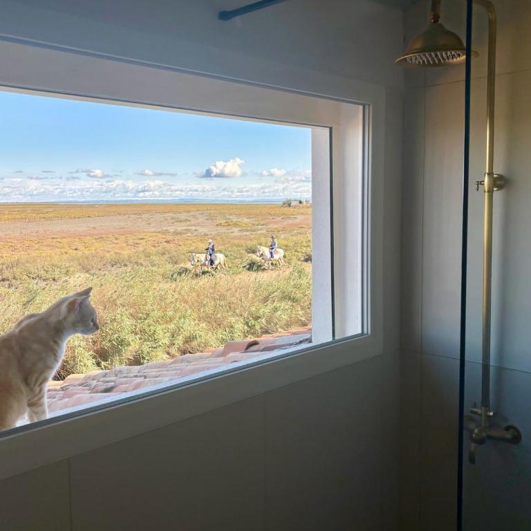 Maison avec vue sur la Camargue sauvage - Maison 3 Chambres - 37