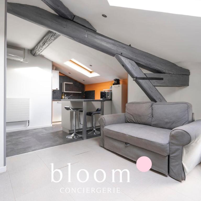Le Bailly tout équipé - Appartement - 1