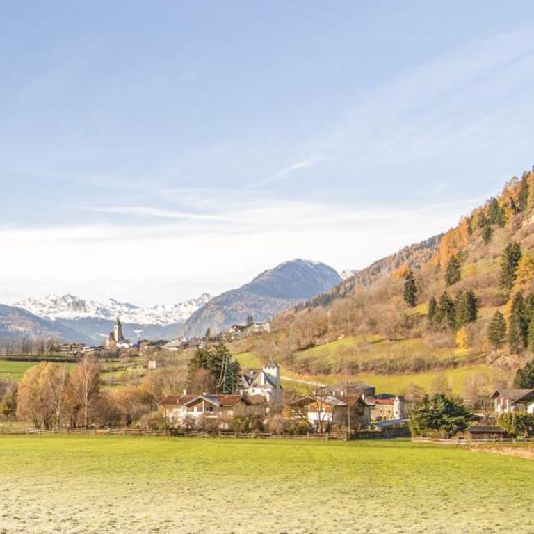 Rieplhof - Relaxing farm stay with breakfast and mountain view - Dreibettzimmer - 5