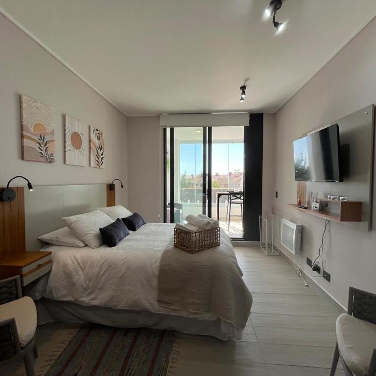 Studio apartment - One-Bedroom Apartment - 1