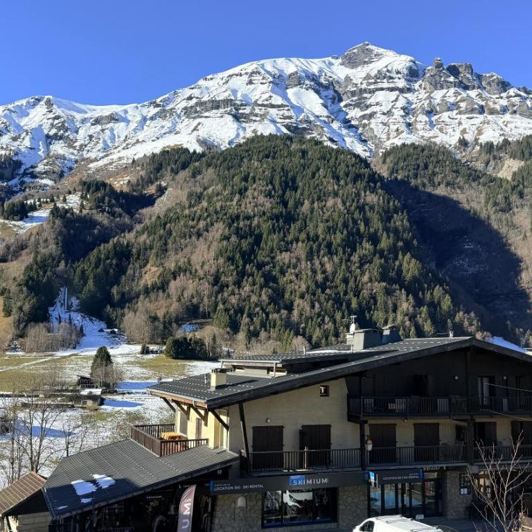 Les Dômes - Appartement centre village et superbe vue montagne - Appartement 2 Chambres avec Vue sur la Montagne - 9