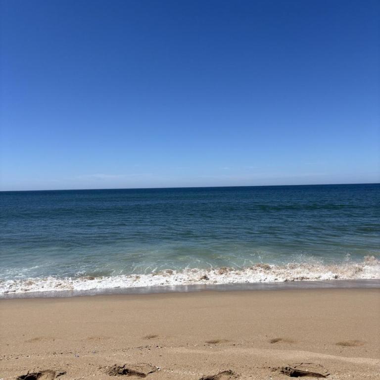 Cabaña en Santa Monica, entre el mar y la Laguna José Ignacio - One-Bedroom House - 15