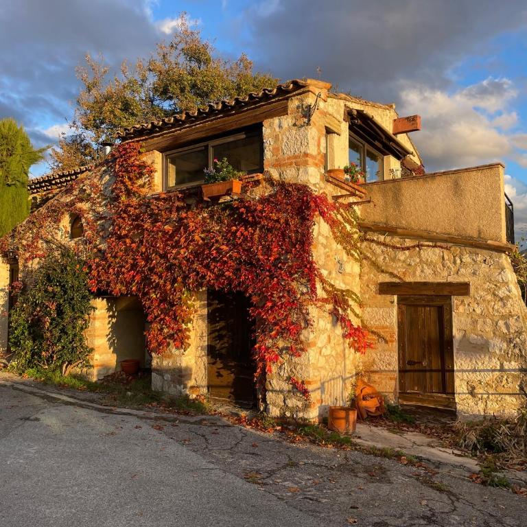 Maison atypique avec vue à Saint Paul de Vence - Villa mit 2 Schlafzimmern - 13