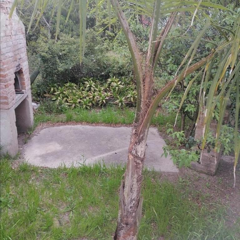 Cabaña&Piscina AUM para 6 personas - Casa de 2 dormitorios - 9