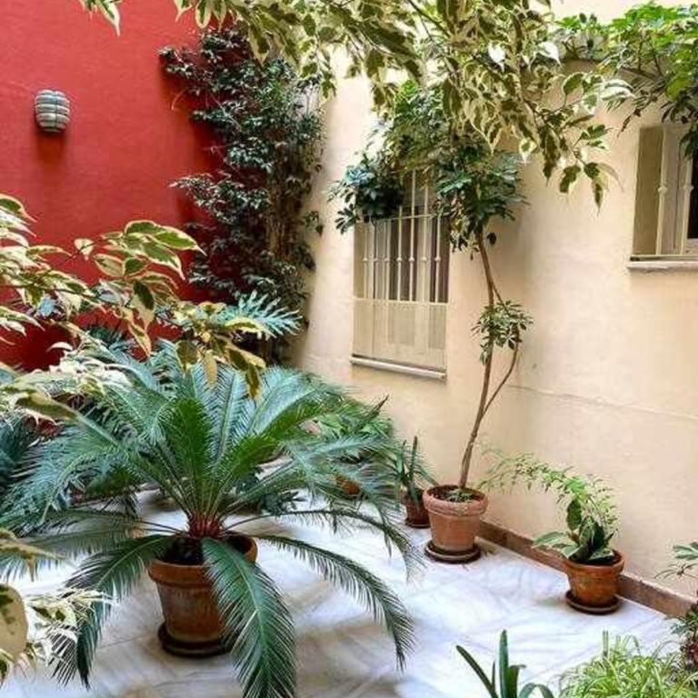 Acogedor y tranquilo cerca de las setas - centro - Apartamento de 1 dormitorio - 22