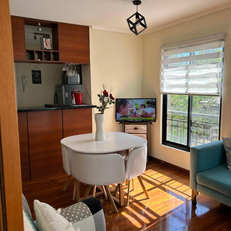 Departamento amoblado Alameda Talca - One-Bedroom Apartment - 3