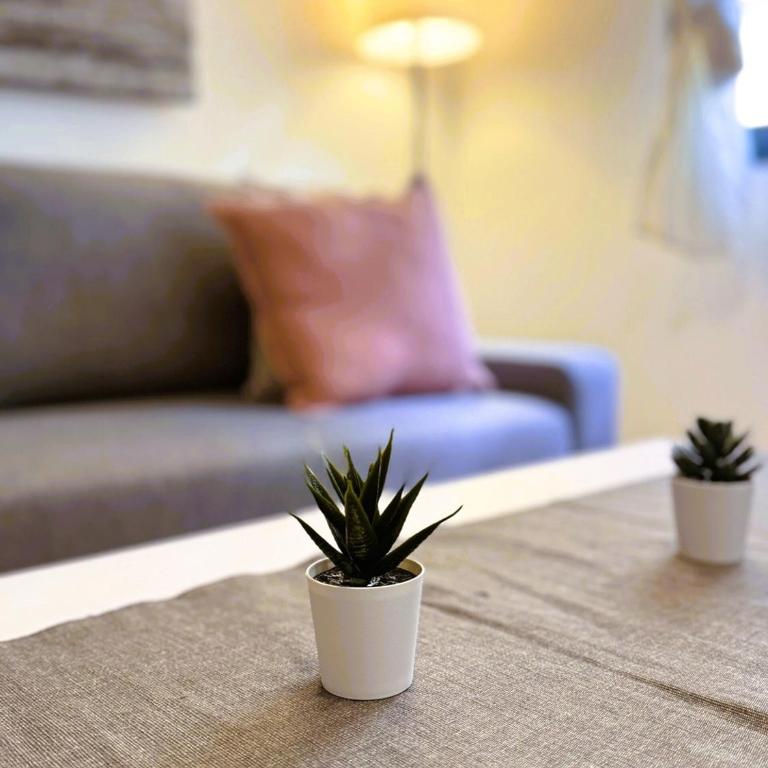 Duplex - Terraza solarium - Alameda de hercules - Apartamento de 2 dormitorios - 17