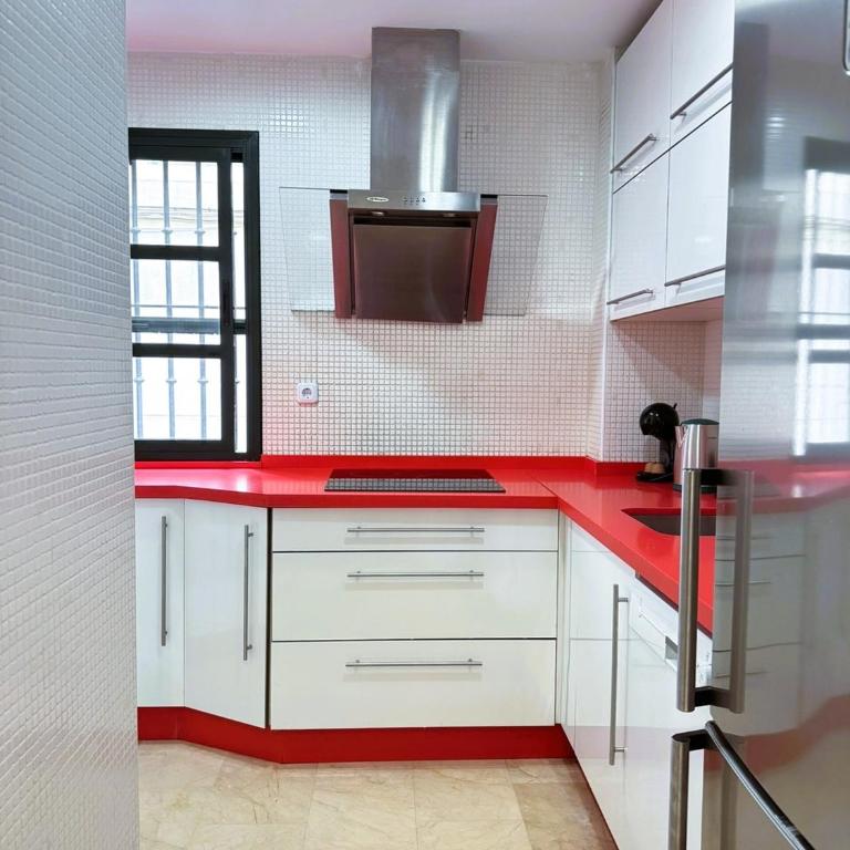 Duplex - Terraza solarium - Alameda de hercules - Apartamento de 2 dormitorios - 8