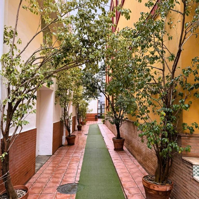 Duplex - Terraza solarium - Alameda de hercules - Apartamento de 2 dormitorios - 37