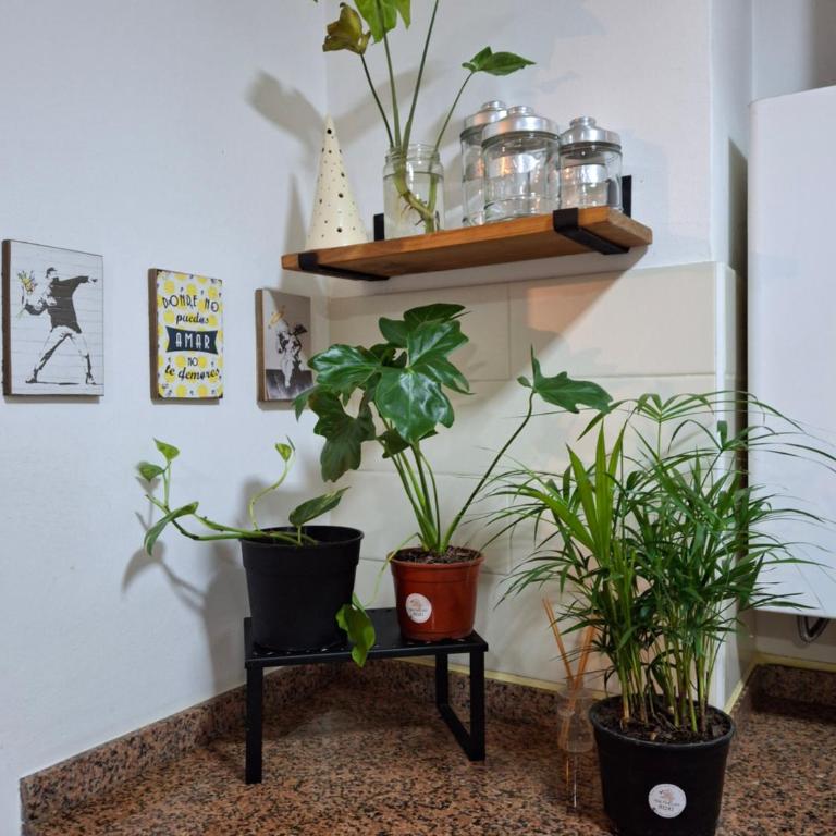 Departamento en Nueva Cordobá, CORDOBA - Apartamento de 1 dormitorio - 12