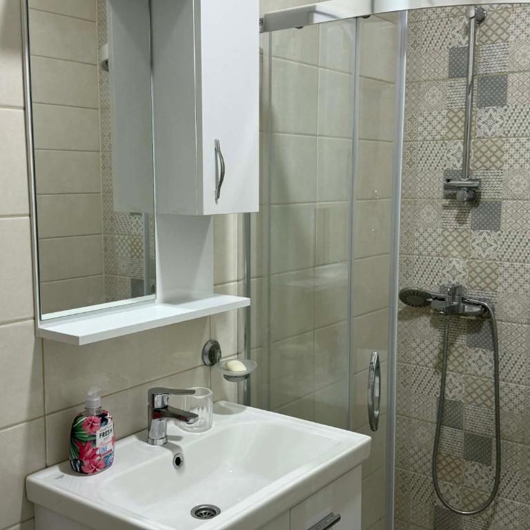 Apartmani Rajkovic - King Studio with Sofa Bed - 10