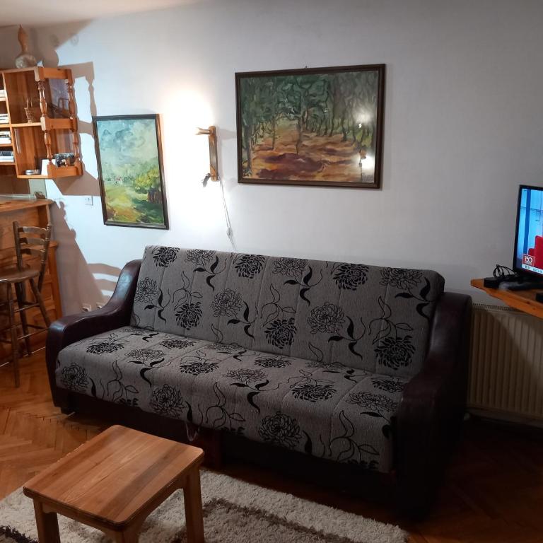 APARTMANI ZLATIBOR - One-Bedroom Apartment - 13