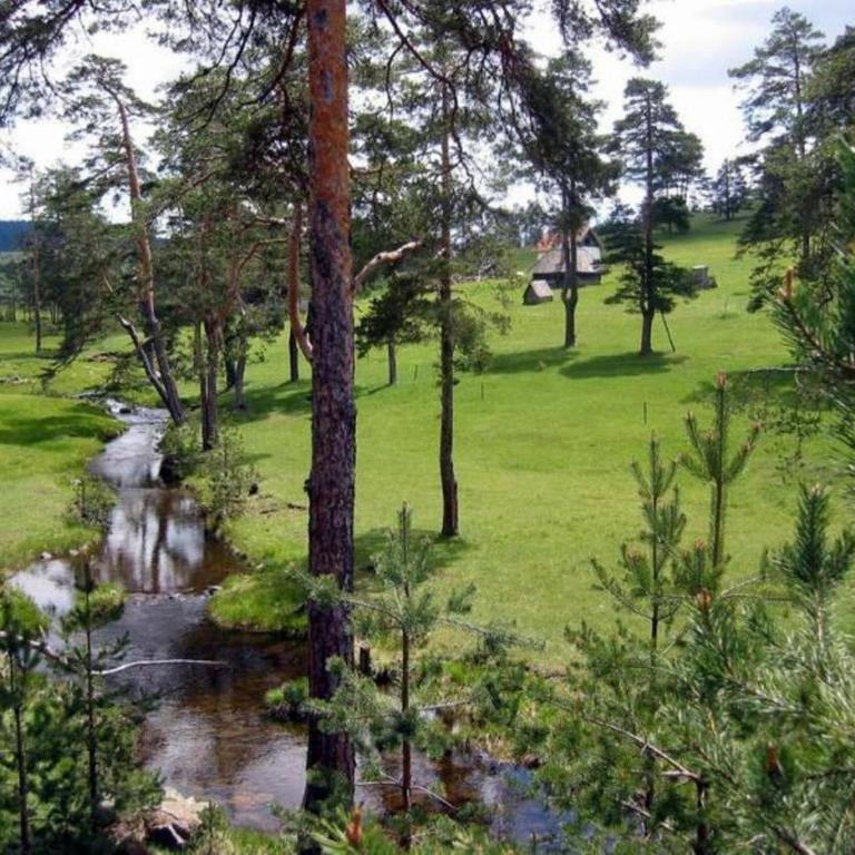 APARTMANI ZLATIBOR - One-Bedroom Apartment - 15