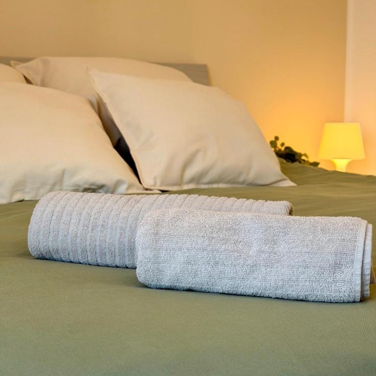 Palladio Apartment - with parking - Appartamento con 2 Camere da Letto - 29