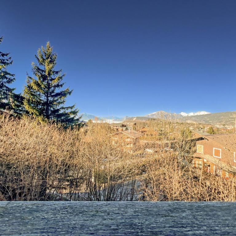 CH719 - Chalet 10 Pers aux Carroz - Chalet Supérieur - 22