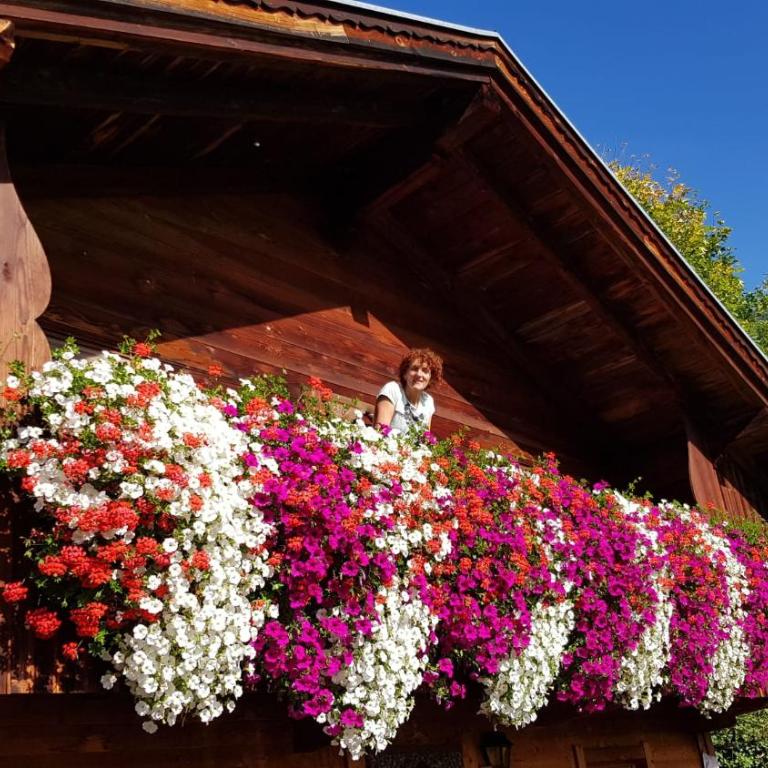 Wörglerhof's Hüttenapartments mit Kachelofen Farm Stay - Apartment mit 2 Schlafzimmern und Bergblick - 19