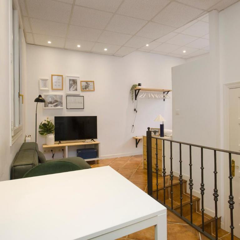 Apartamento Puerta del Camino 1 - Apartamento de 1 dormitorio - 14