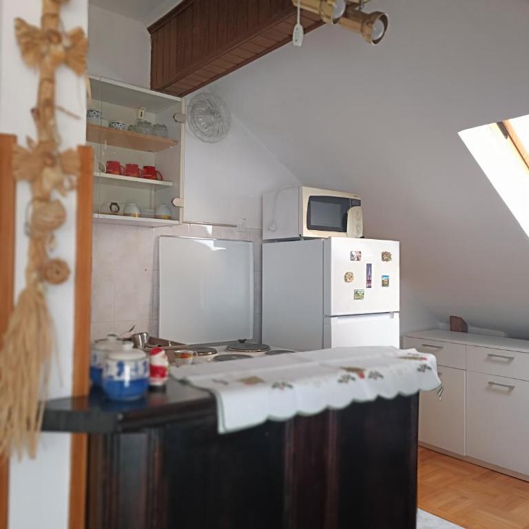 Apartman Paunov Breg - Apartman sa 1 Spavaćom Sobom - 5