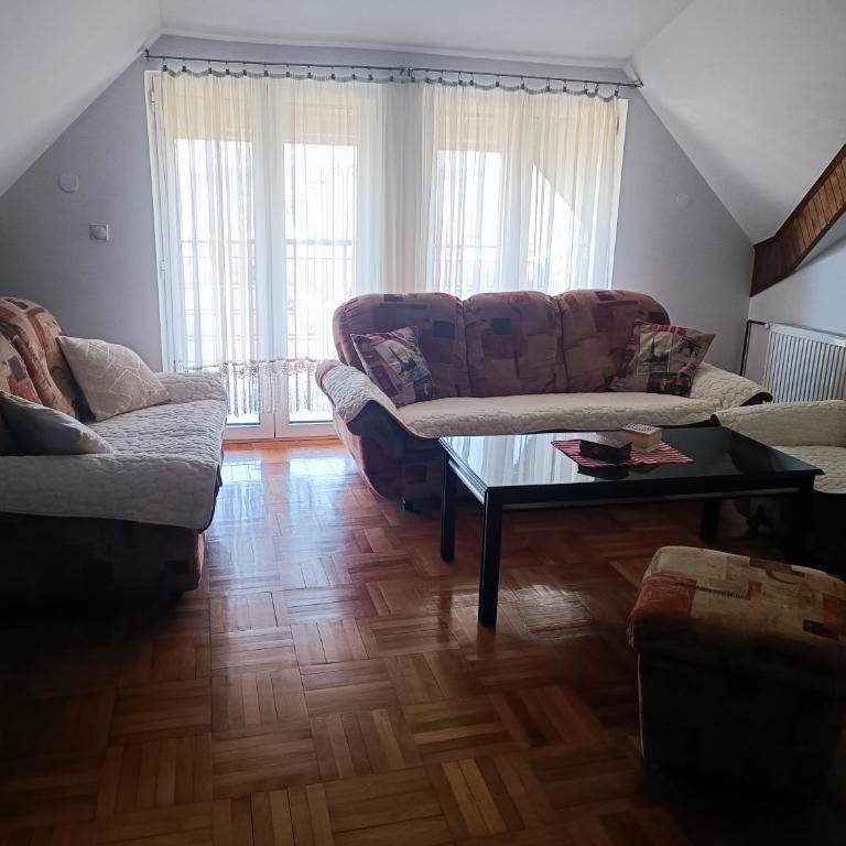 Apartman Paunov Breg - Apartman sa 1 Spavaćom Sobom - 9