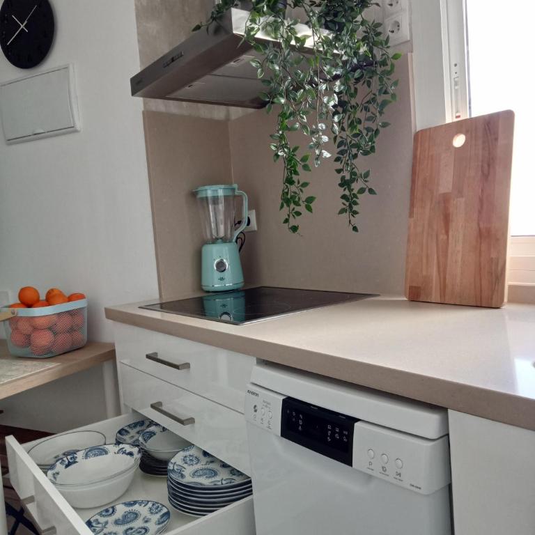 Apartamento 1 dormitorio - Apartamento de 1 dormitorio - 13