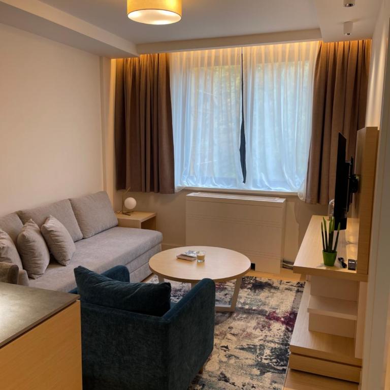Zepterme Promenade Spa Apartment - Apartman sa 1 Spavaćom Sobom - 11