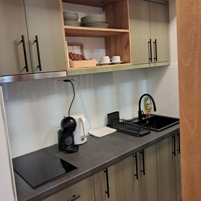 Apartment Premier 1 A Blok - King Studio with Sofa Bed - 13