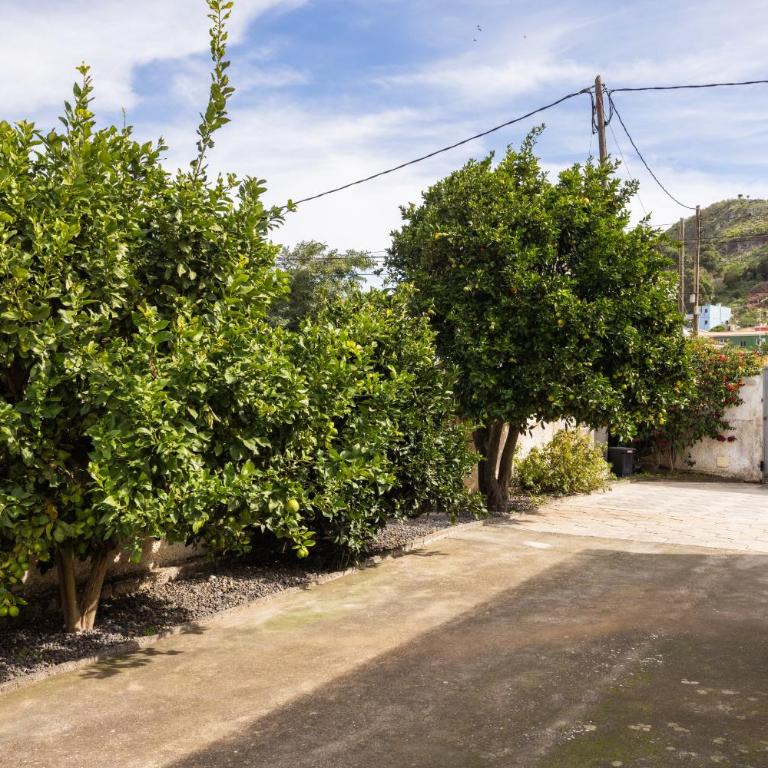 Casa La Laguna - Chalet - 33