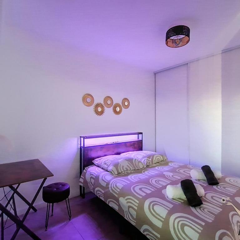 Le Panorama, vue exceptionnelle à 2 pas de la gare - Appartement 1 Chambre - 17