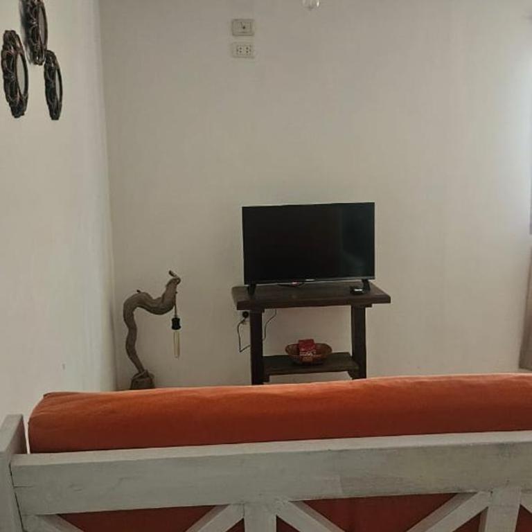 Eco Apart - Hotel TDF - Apartamento de 1 dormitorio - 4