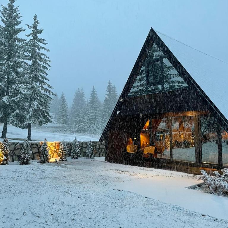 Mountain homes Durmitor 3 - Two-Bedroom Villa - 42