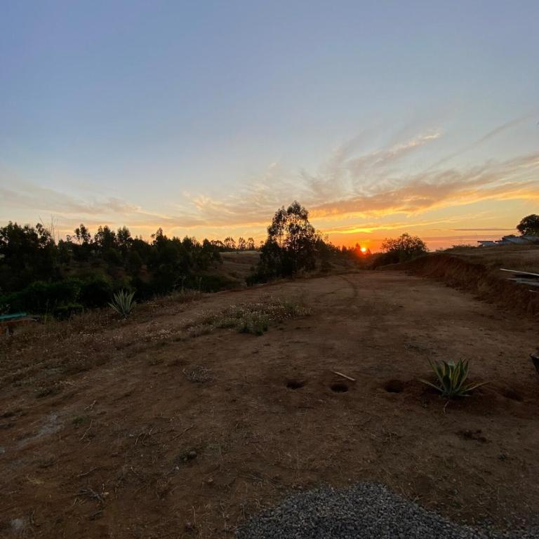 Cabaña en Algarrobo sector San José - Two-Bedroom House - 31