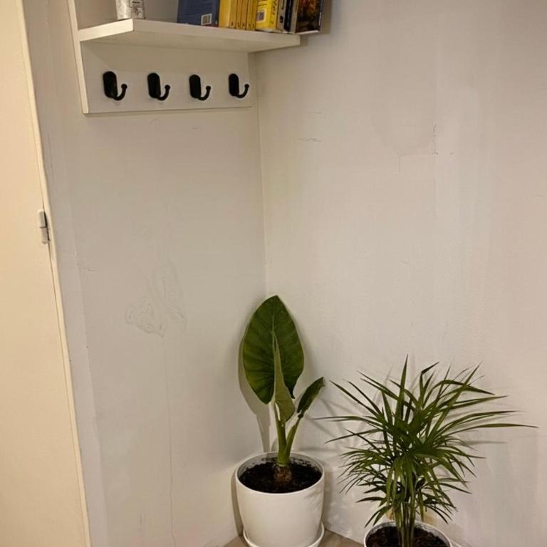 Dpto SAN MARTIN - Apartamento de 1 dormitorio - 4