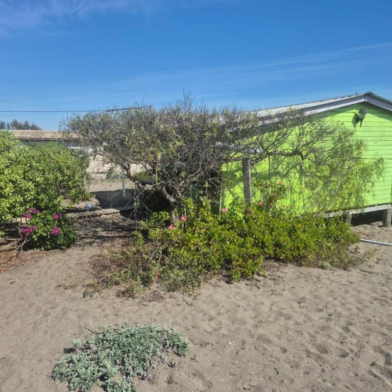 cabaña las cruces - One-Bedroom House - 16