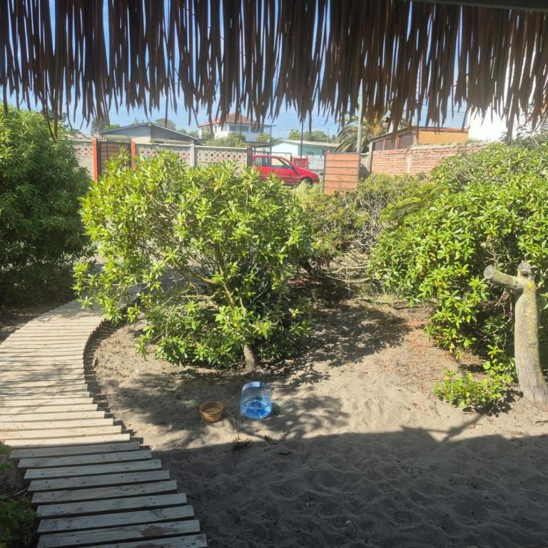 cabaña las cruces - One-Bedroom House - 17