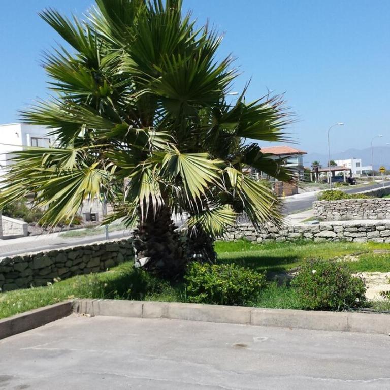 Departamento en exclusivo condominio Serena Golf - Apartment - 13