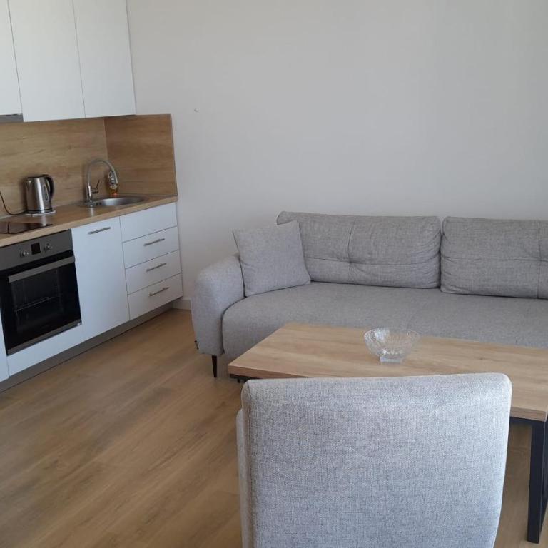 Apartment Hrubosovic Dobra voda - One-Bedroom Apartment - 7