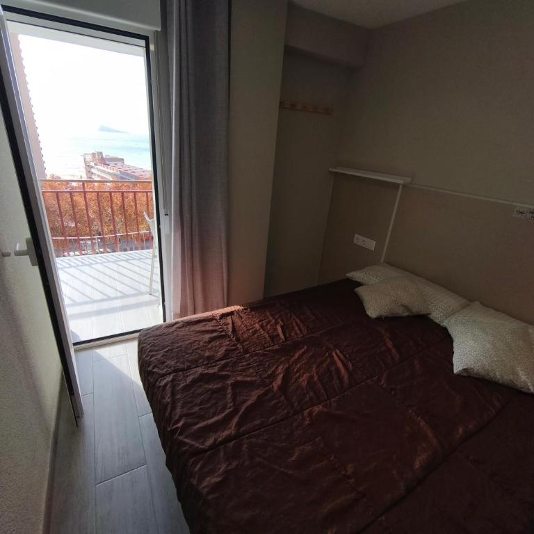 Apartamento Oca 91 - Apartamento de 2 dormitorios - 25