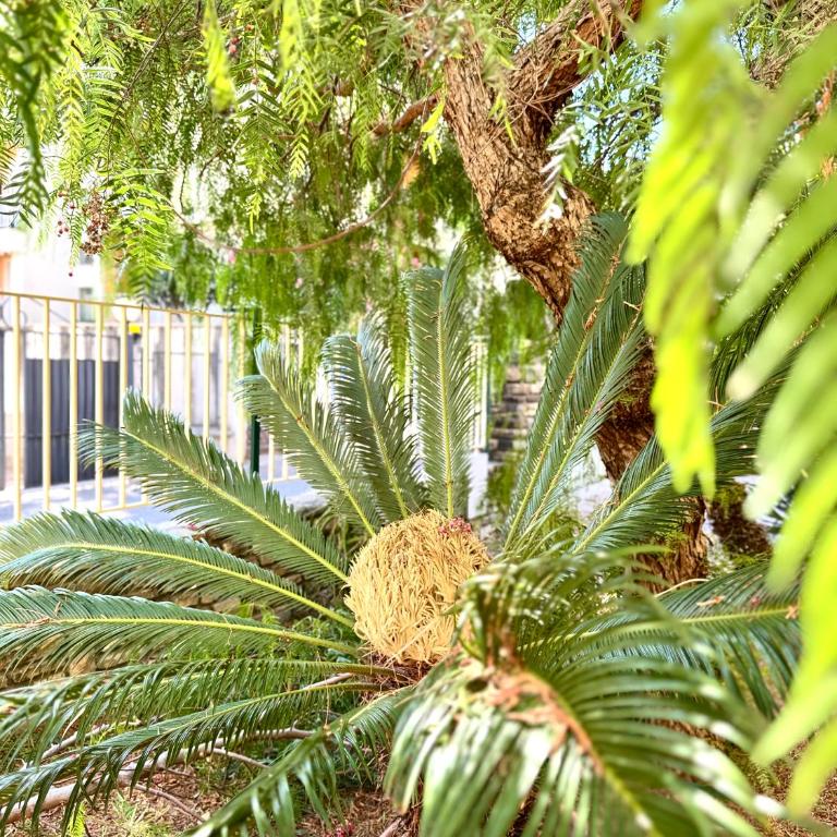 Casa Rosetta - Relax in Centro - Parcheggio Privato, Mare a 2 Passi - Appartement 1 Chambre Supérieur avec Balcon - 50
