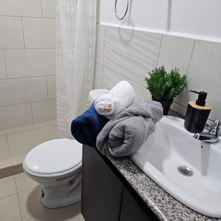La Martina Suites Wifi Parking & Aire Acondicionado - Two-Bedroom Apartment - 12