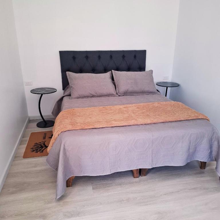 Casa Árbol Lodge Papudo - Apartamento de 2 dormitorios - 4