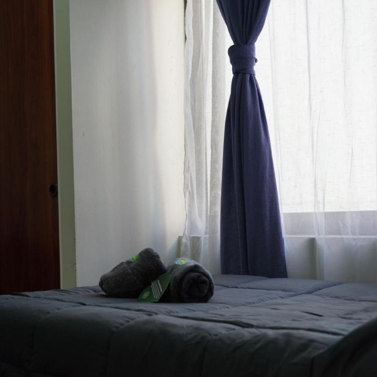 Hotel Boutique Parque Brasil - Single Room - 9