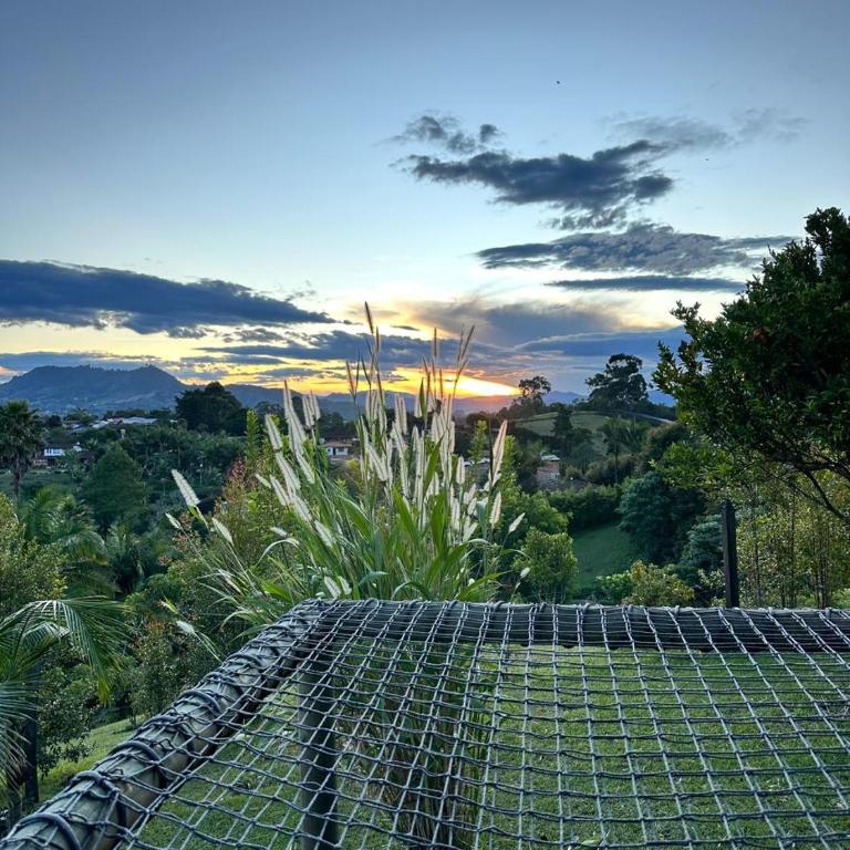 Alto Paraiso Glamping "B" - Casa con 1 dormitorio - 2