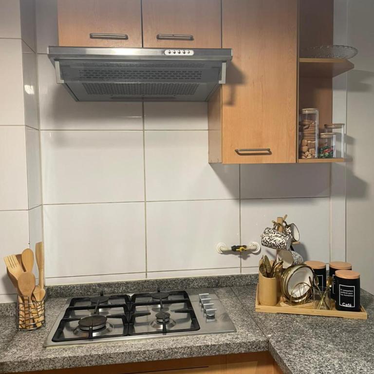 Aconchegante apartamento mobiliado no coração de Santiago - Studio Apartment with Queen Bed - 33
